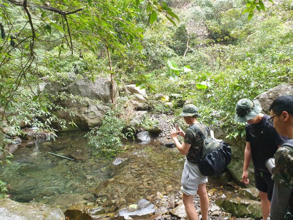 麗陽上屋我尾山2683116