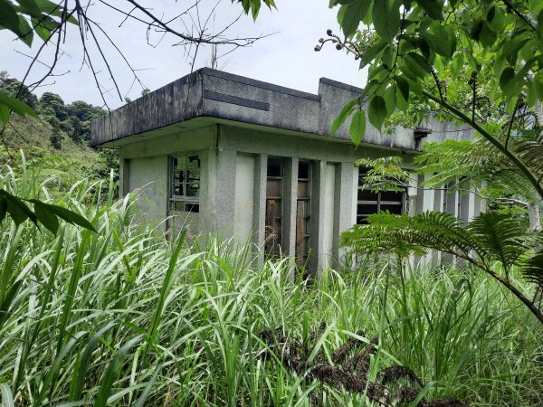 花蓮-大禮大同步道3053502