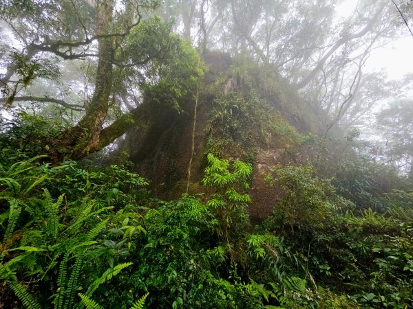 都蘭山-小百岳#93-台東縣東河鄉2779405