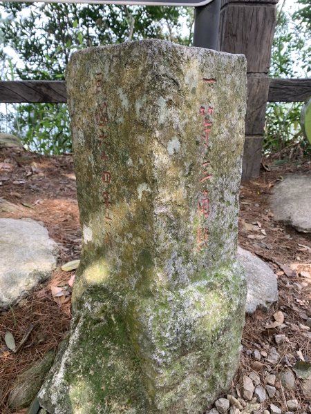 20251108台中頭嵙山-二嵙山2933353