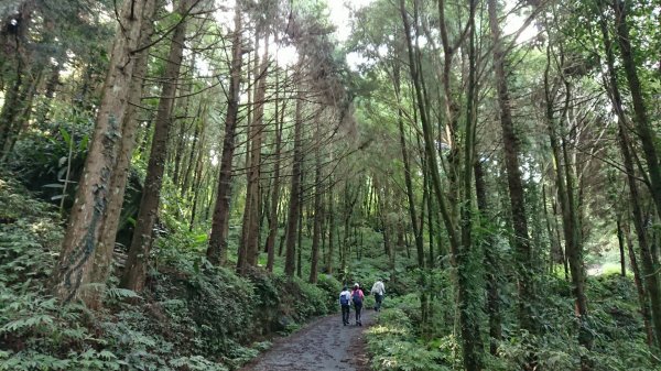 馬拉邦山上湖登山口O型走1069005