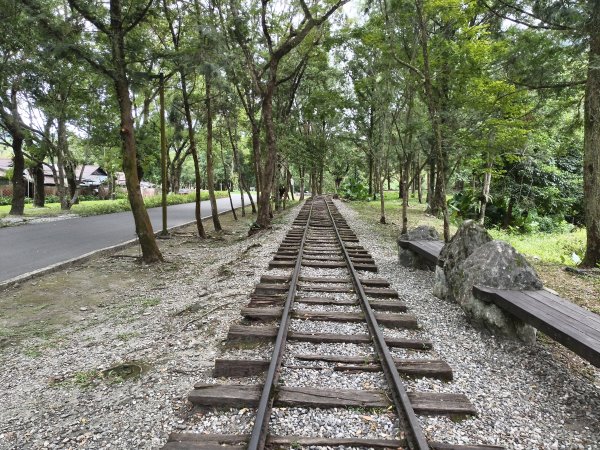 [漫遊縱谷 愛在花東-08/10] 2025_1012 林田山林業文化園區步道2913530