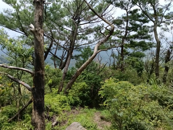 內湖區大丘田保甲路+開眼山+白石湖山+白石湖山東峰+大邱田山+消防山O型2858957