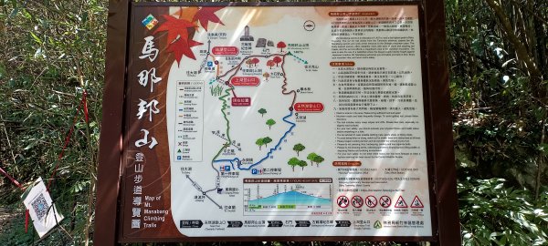 20220312_馬那邦山 細道邦山南峰 細道邦山1637071