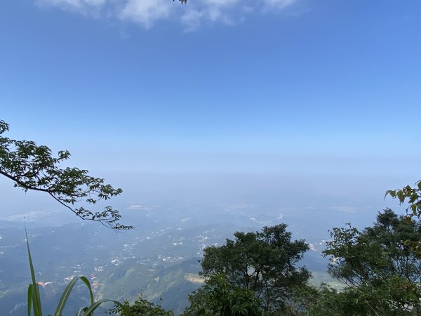 1131215大尖山2690848