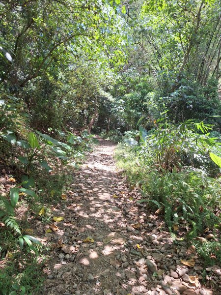 田中麒麟山森林步道202508172862019