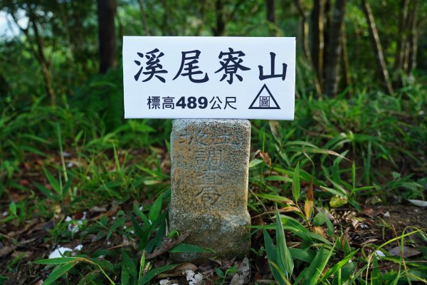 新北 雙溪 溪尾寮山、東柑腳山、柑腳山2581791