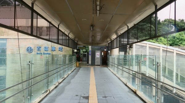 百年紅磚微光(五堵舊隧道)3079597