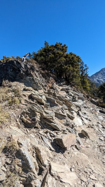 關山嶺山步道2436161