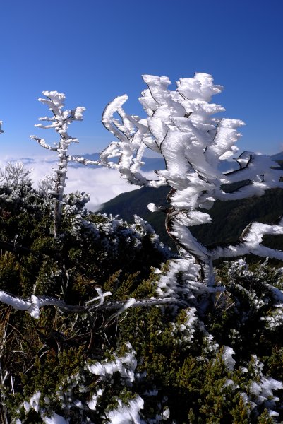 風雨雪中嘉明湖初登場1182073