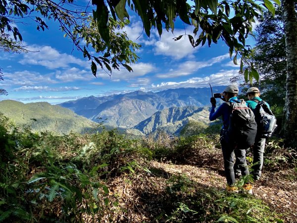 中阿冷山、阿冷山東南峰、南阿冷山、烏來山、黑田山（南峰）、阿寸坑山輕鬆撿   2022/1/201587897