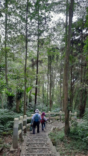 《南投》秘境步道｜鹿谷鳳凰谷步道+萬年亨衢202209241854473