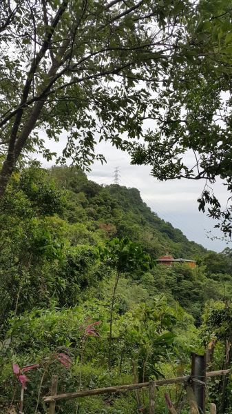 漫遊南港山縱走親山步道151233