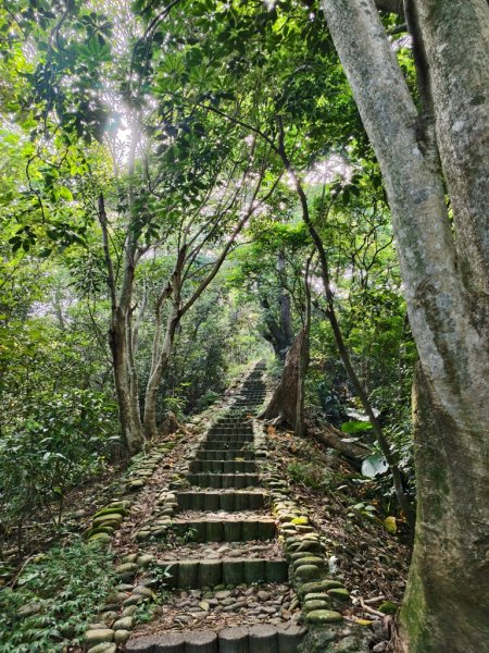 【員林】隴頂古道連走萬里長城及藤山步道O繞2871778