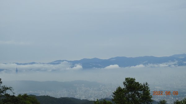 雲山水花鳥蝶 - 雲霧飄渺間的101大樓也是天空之城 ?1731658