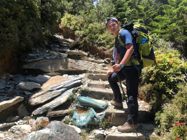 向陽山.三叉山.嘉明湖【揭開夢幻仙境的殘1047921