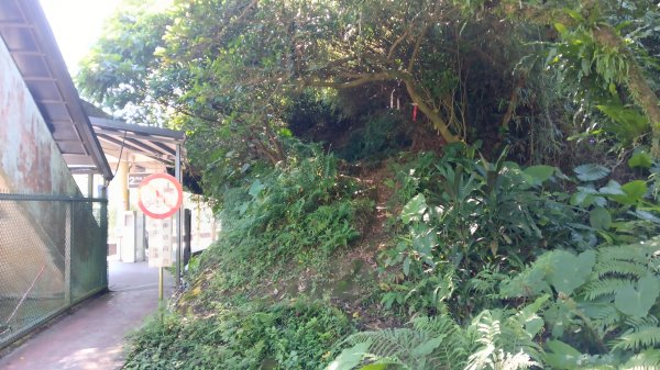 基隆市暖暖車站-暖壽山-暖東苗圃-頂寮山-清法戰爭砲台遺址-碇內3091332