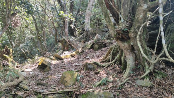 田良井山六連峰(屏東三地門) 探勘初體驗2025年3月9日2731549