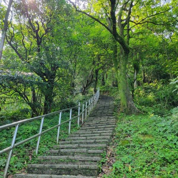 大尖山、四分尾山步道（小百岳）2132451