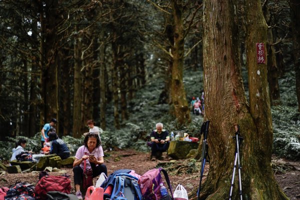 帶媽媽爬長壽山2669492