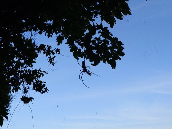 微笑山線之鳶山任務2855499