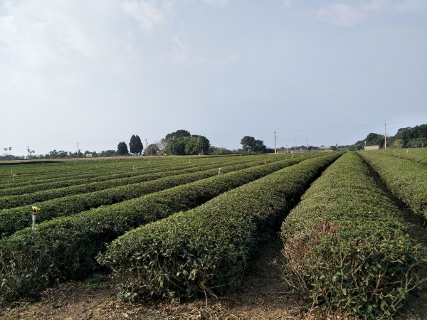 小百岳：松柏坑山1254596