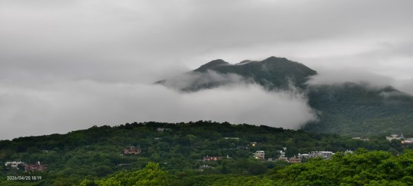 #文化大學 #雲海 #琉璃光 #陽明山秘境 4/253042471