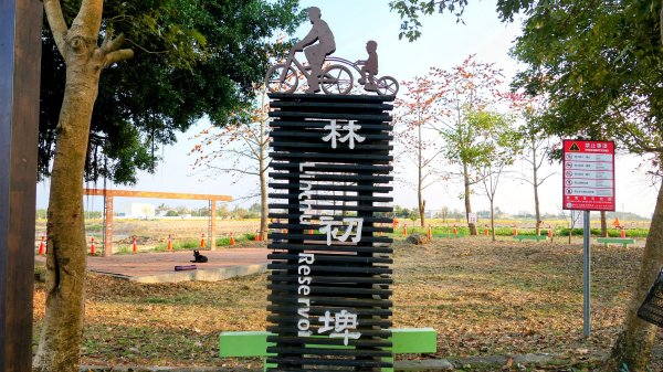 《臨江仙。木棉春色》2735237