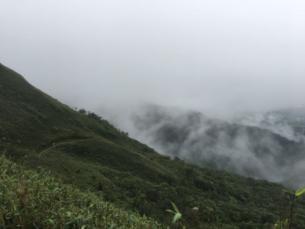 朝聖之旅-聖母登山步道394121