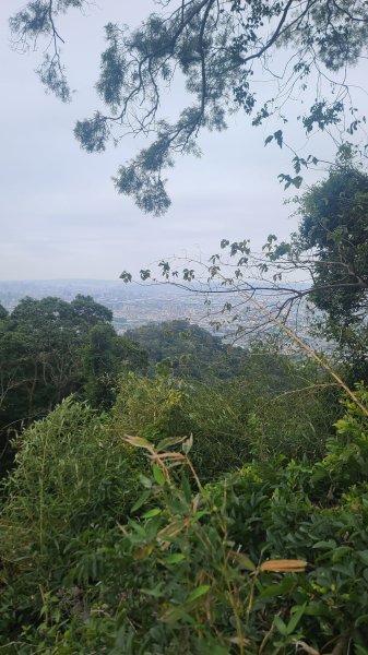 2025-0208聚興山小百岳2710890