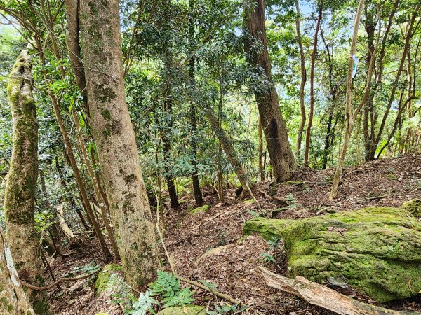 20240203番婆石山與橫屏山東峰2450408