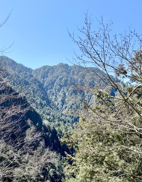 230林道糜爛去    2025.2.28-3.12733795