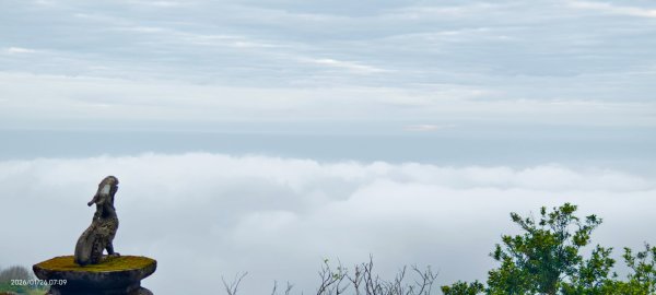陽明山趴趴走追雲趣 #雲海 #琉璃光 1/26 認得幾個拍照地點共15個2988320