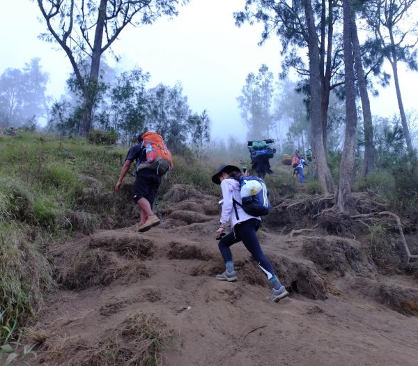 林賈尼火山之旅2531436