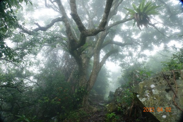 臺南 南化 刣牛湖山1664318