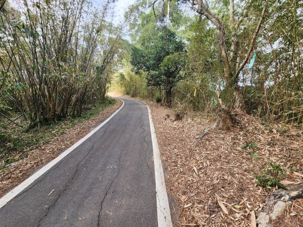 20260223柯子湖山菜堂山尖山沙湖壢山與寶山水庫基石3012600