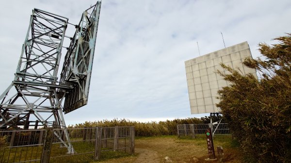 20260125 陽明山前後山健行(無極天元宮~山仔頂步道.向天池.向天山.面天山.二子坪)2998025