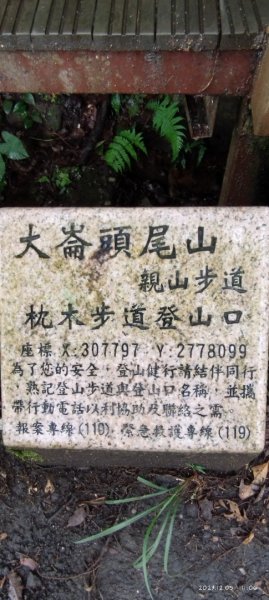 大崙頭山自然步道2368298