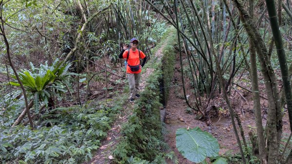 114.11.15平溪小黃山段-望古瀑布段之旅2937804