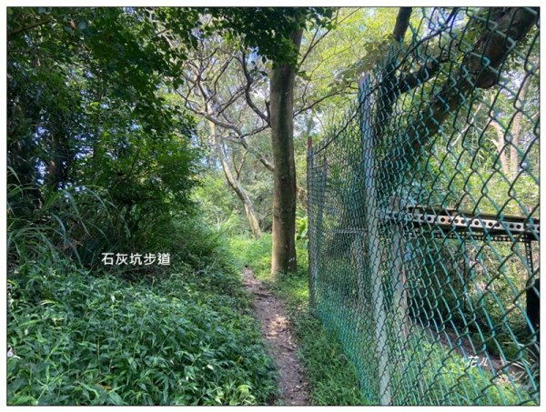 中坑山．石灰坑山．望湖山 連走2812971