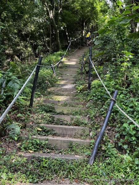 連走微笑山線第一段＋第二段（大棟山系）2853020