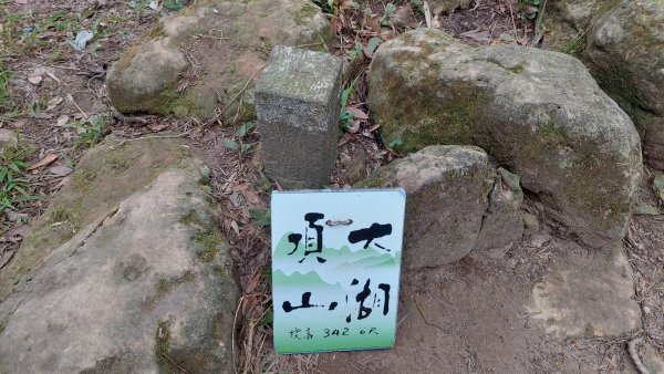 龜山五連星+大棟山O型2785150