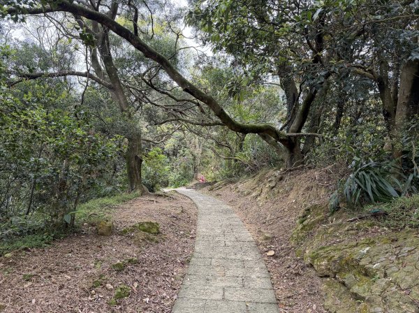 [微笑山線_第四段] 2026_0321 天上山系_石門內尖山東峰3021316