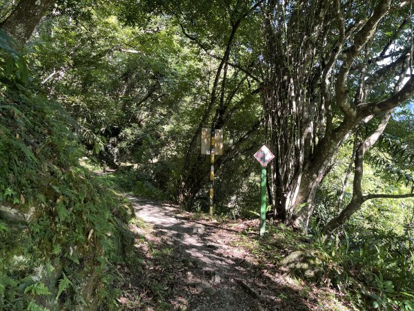 [玉山尋寶任務-03/12] 2025_0810 瓦拉米步道2857521