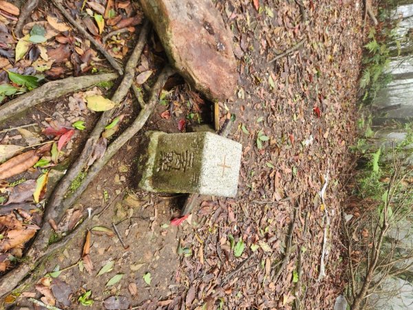 【中級山縱走】魯壁山，東穗山，大島田山，宇老觀景台2771657