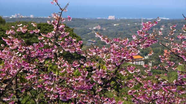 天元宮了嗎？2/32992598