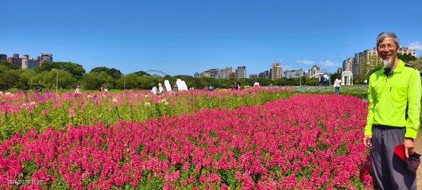 首訪 #古亭河濱公園 #花海 3/153015677