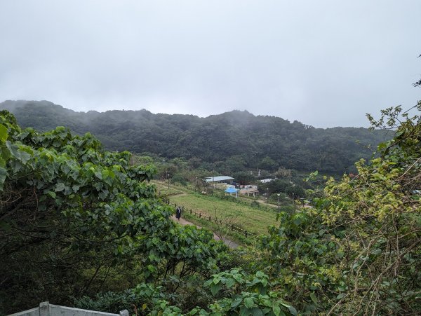 2023-02-11 忘憂谷步道2792595