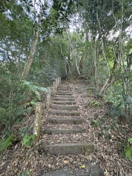 20251221嘉南雲峰、石壁山登山步道2968095