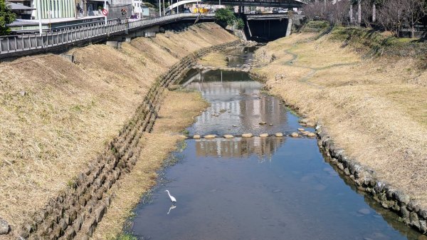 汐止康誥坑溪櫻花2405566